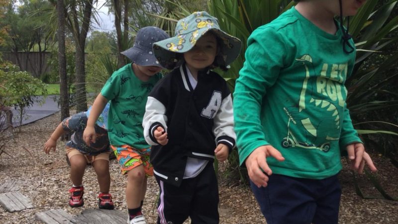 Early Childhood Developmental Milestone