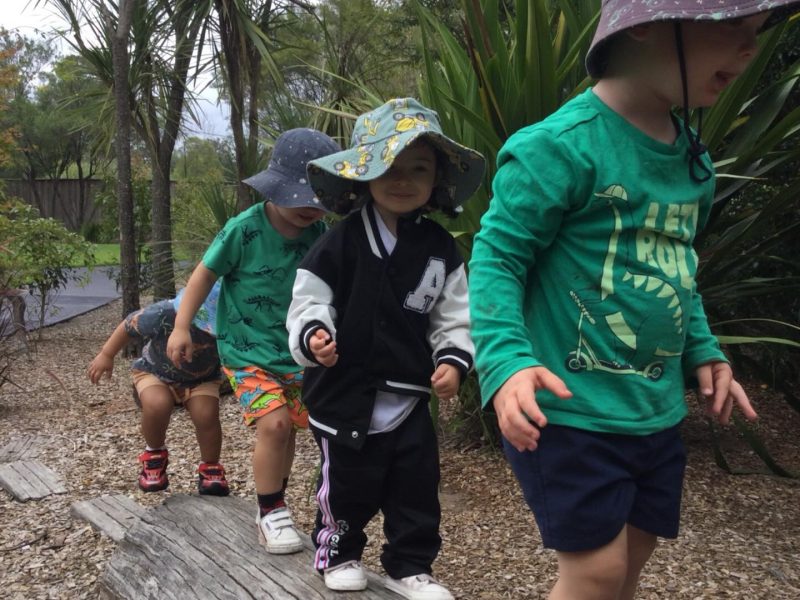 Early Childhood Developmental Milestone
